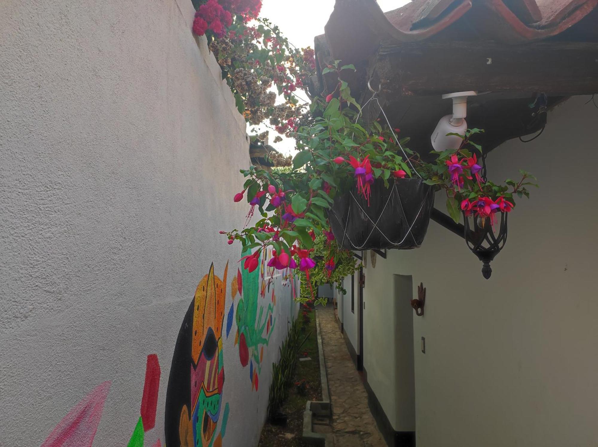 Casa Nikte Hotel Antigua Exteriör bild